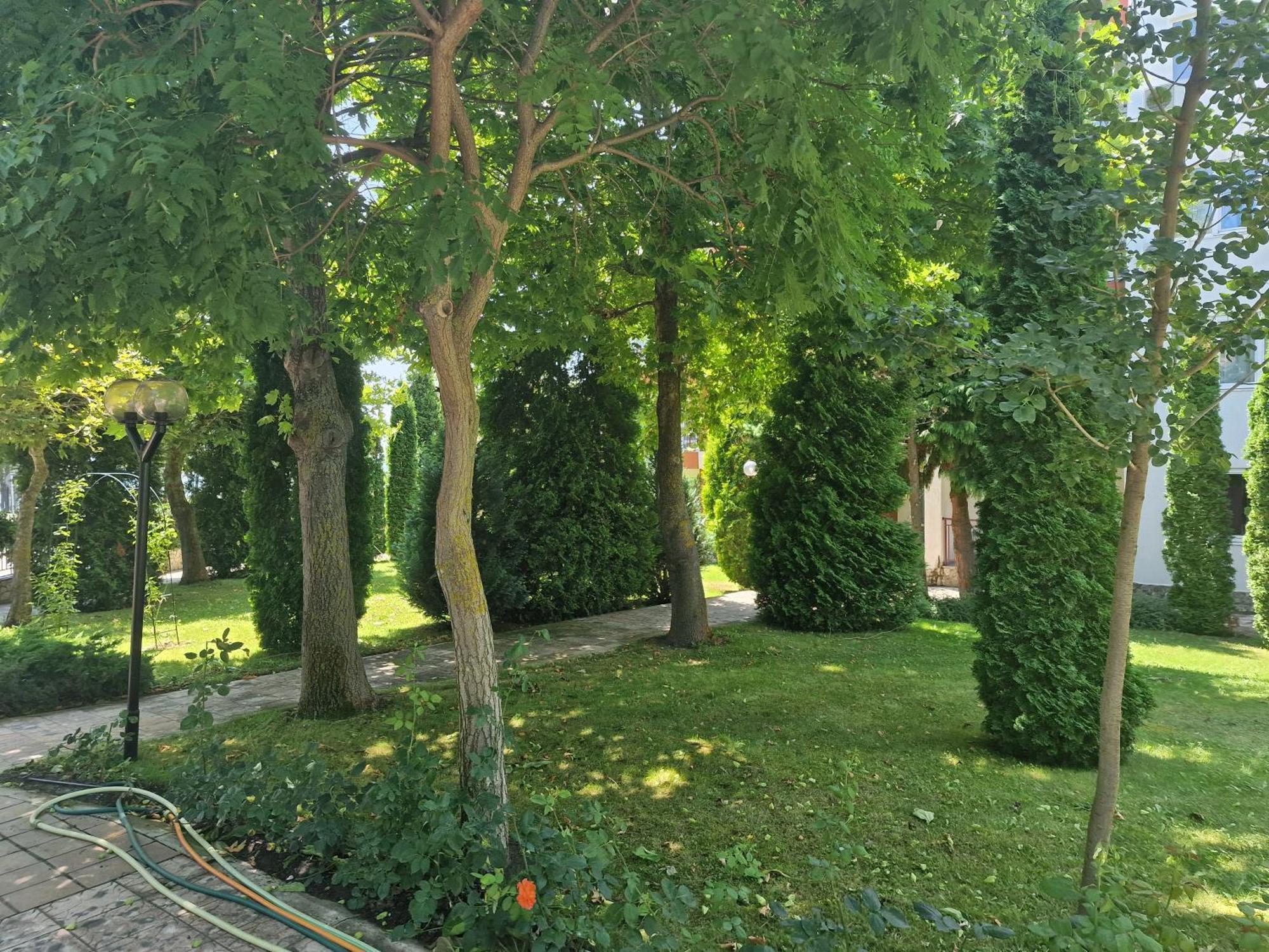 Sloneczny Brzeg Green Fort Noks Studio Exteriér fotografie
